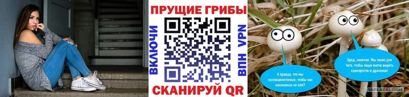 blacksprut зеркало Дыгулыбгей Псилоцибиновые грибы прущие грибы
